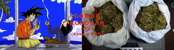 шишки Баксан