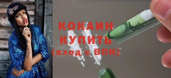 шишки Баксан