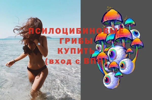 шишки Баксан