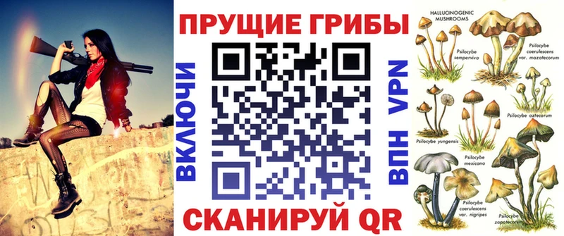 Псилоцибиновые грибы Psilocybe  Белинский 
